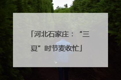 河北石家庄：“三夏”时节麦收忙